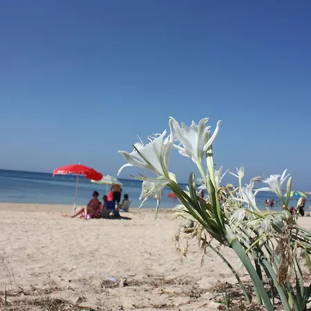 Сasa de vacaciones Blu Torre Pali