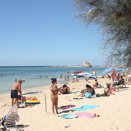 Blu Torre Pali *